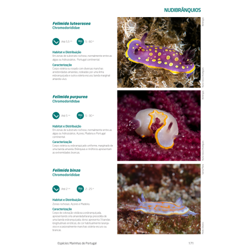 Marine Life Guide to Portugal, the Azores & Madeira