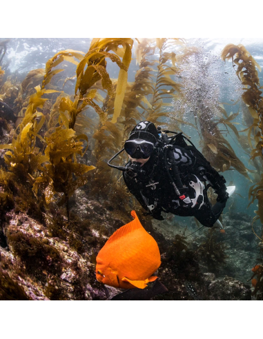 Fato Seco Scubapro Exodry 4mm Mulher - Conforto em Neoprene Híbrido