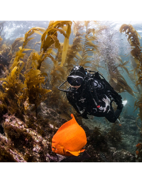 Fato Seco Scubapro Exodry 4mm Mulher - Conforto em Neoprene Híbrido