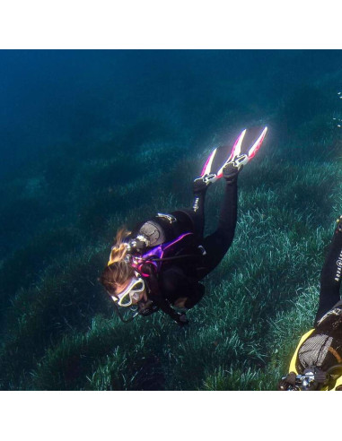 Aqualung Phazer Fins with Wave Rib Technology